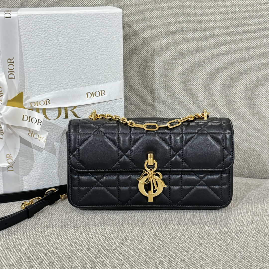 Túi xách Dior Nữ Miss Daisy 