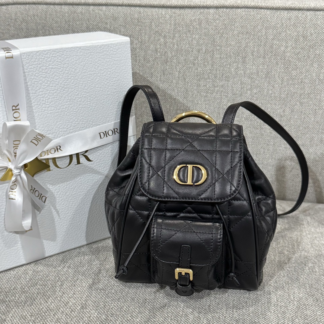 Balo Da Dior Caro 19.5