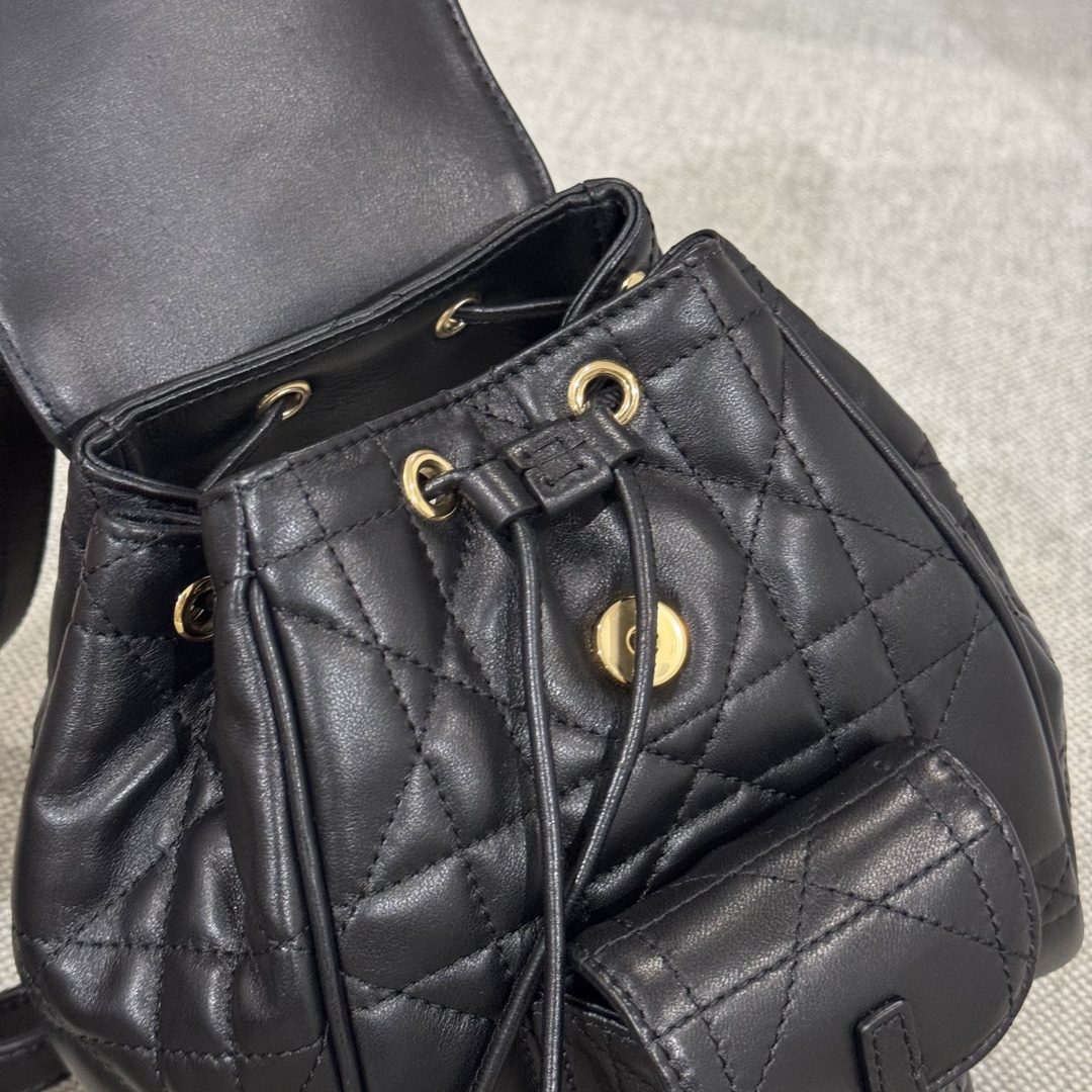 Balo Da Dior Caro 19.5