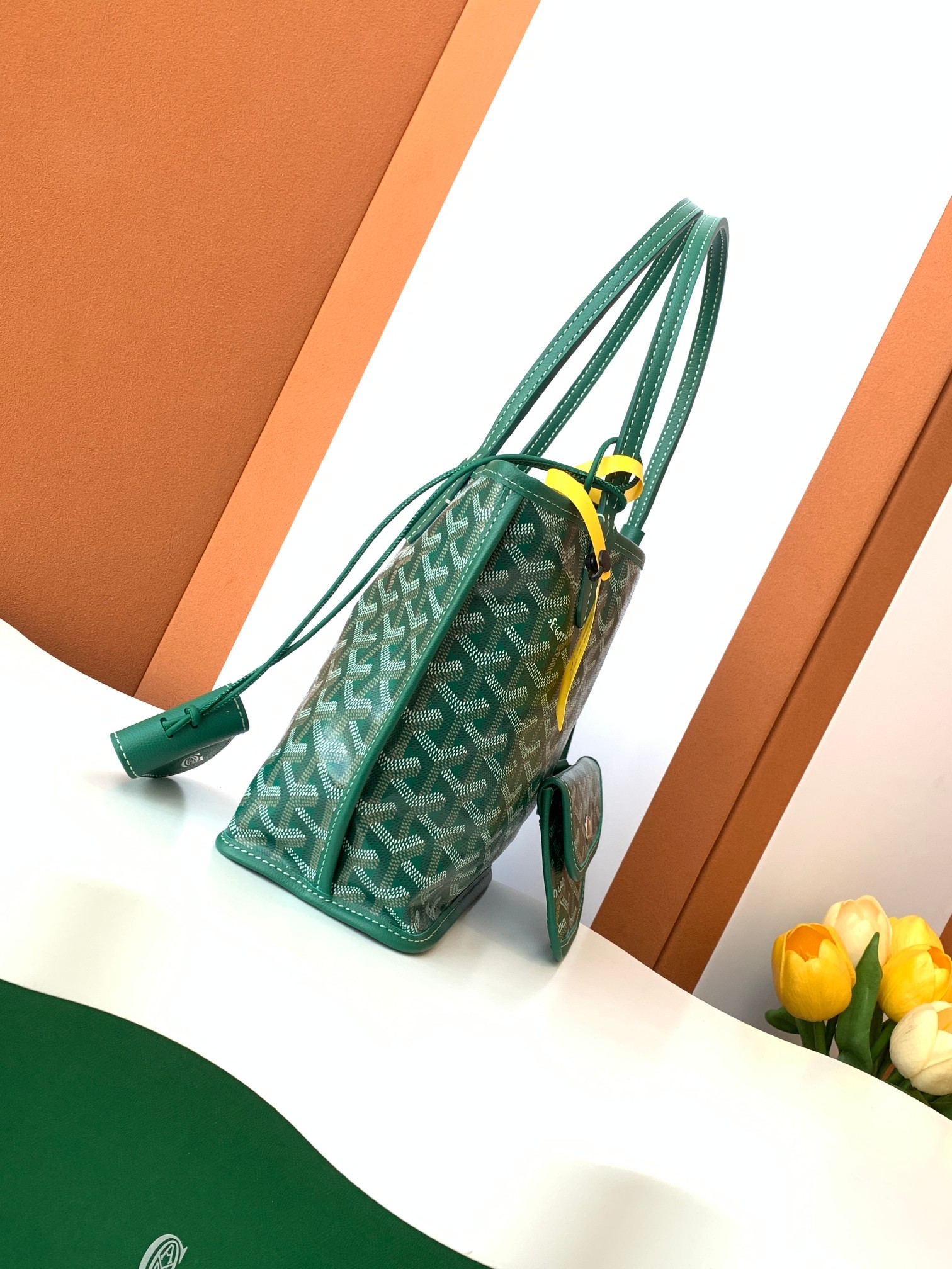 Goyard MINIAnjor 8003 (green)