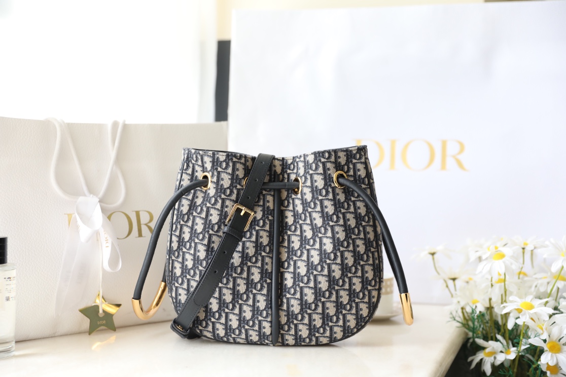 Túi Xách Nữ Dior Nolita
