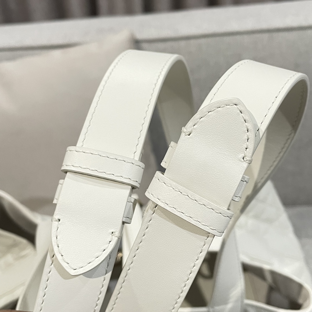 Túi Dior Toujours Nữ Màu Trắng