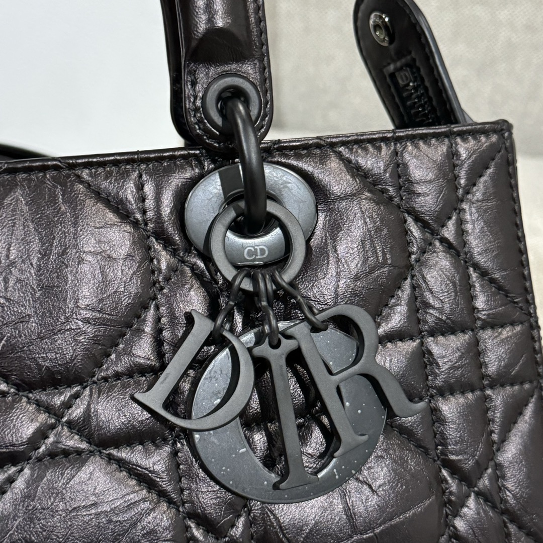 Túi Dior D-Sire Màu Đen
