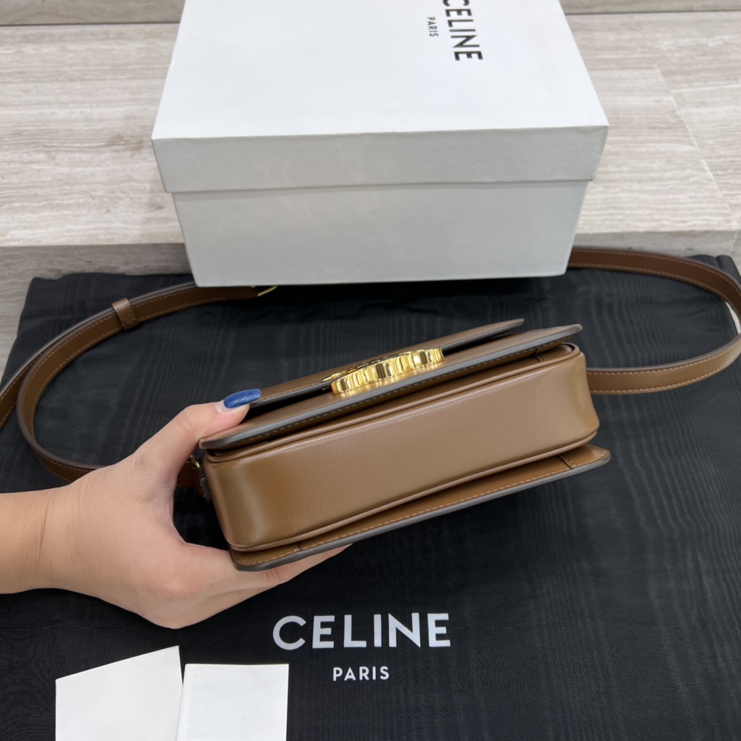 Túi Xách Celine Teen Triomphe 188423 Màu Nâu 