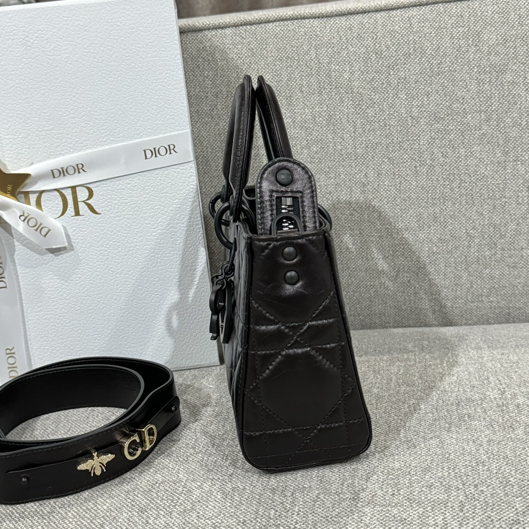 Túi Dior D-Sire Màu Đen