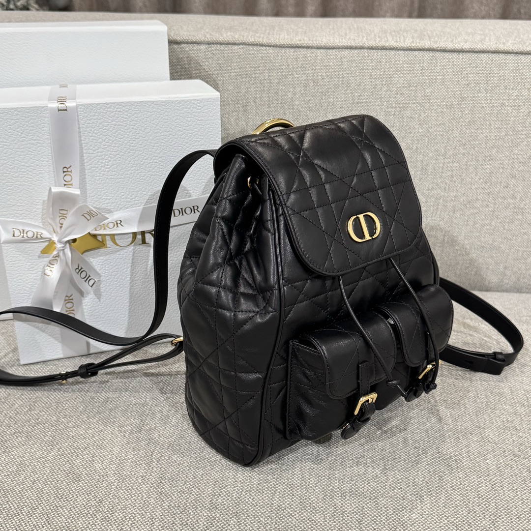 Balo Da Dior Caro 23
