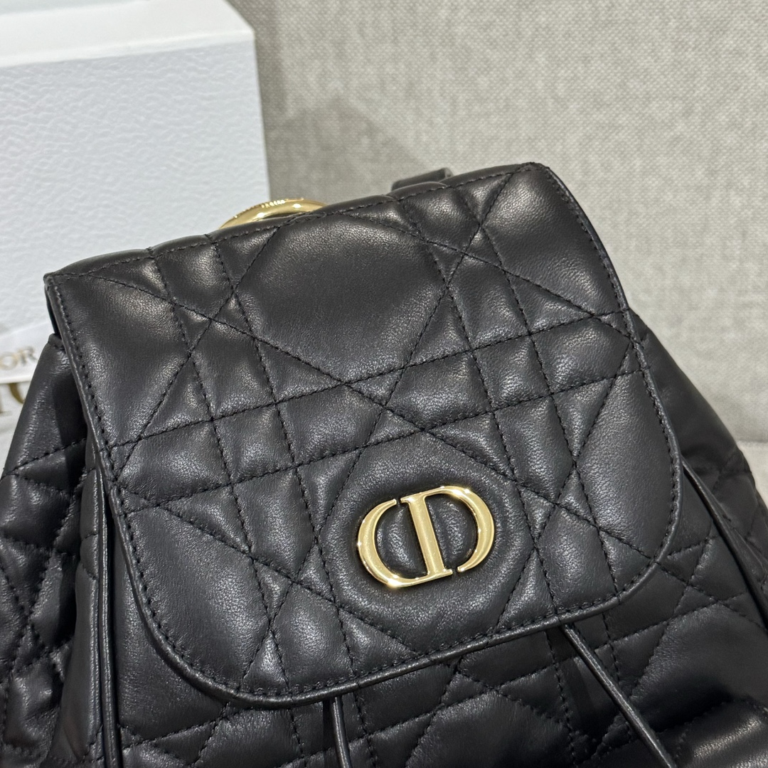 Balo Da Dior Caro 23