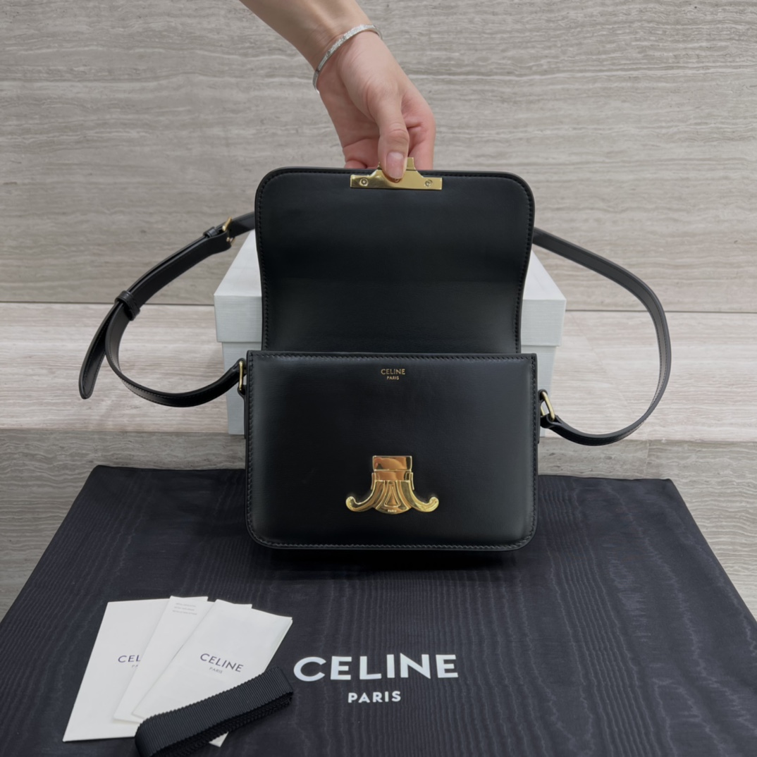 Túi Xách Celine Teen Triomphe 188423 Màu Đen