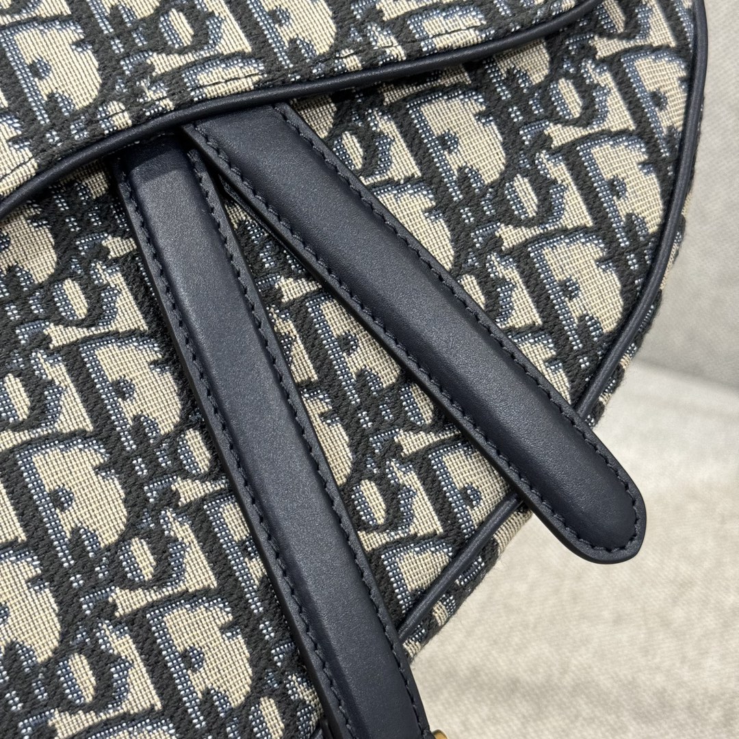 Túi Dior Sadle Nữ Vải Logo 