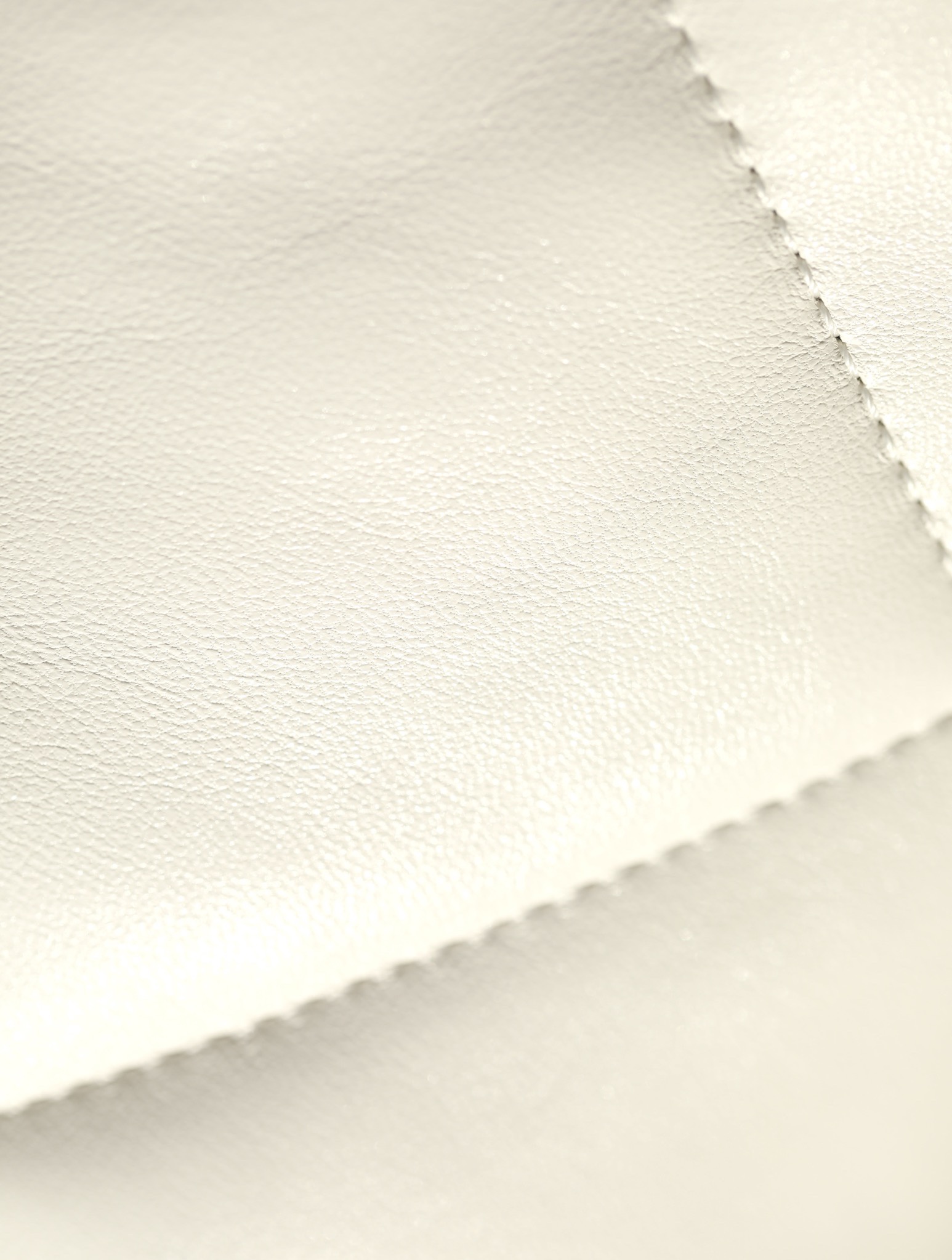 Túi xách Chanel C19 Bag trắng 