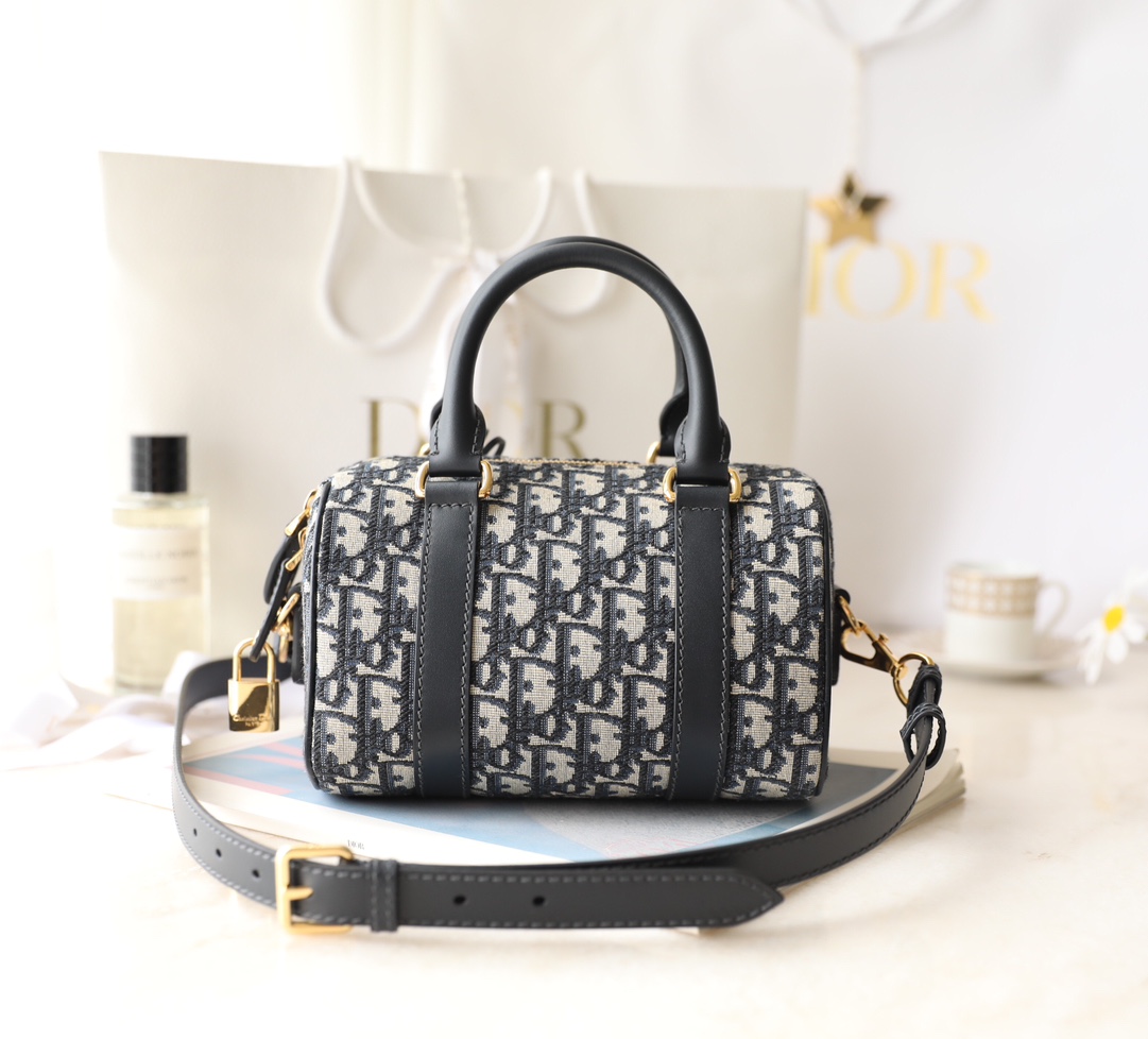 Túi Xách Dior Nữ CD Oblique