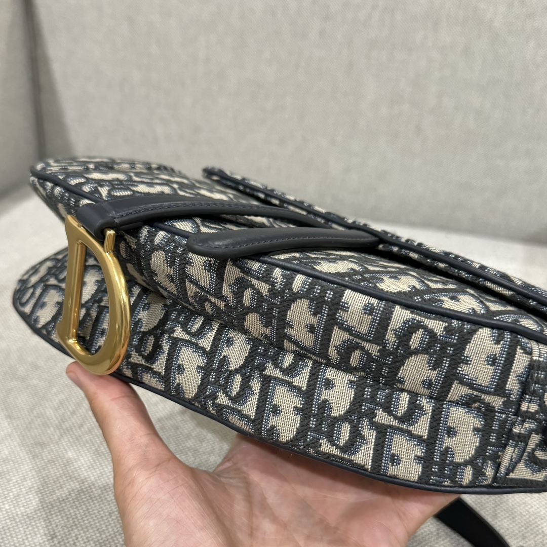 Túi Dior Sadle Nữ Vải Logo 
