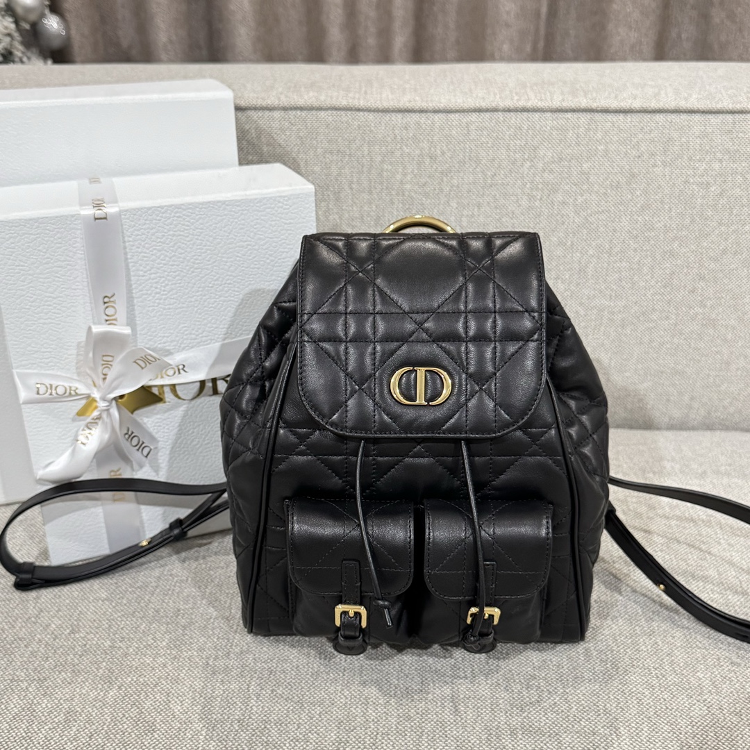 Balo Da Dior Caro 23