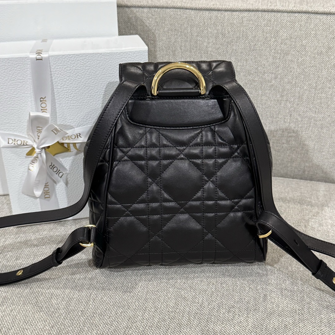 Balo Da Dior Caro 23