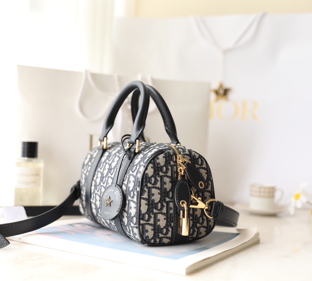 Túi Xách Dior Nữ CD Oblique