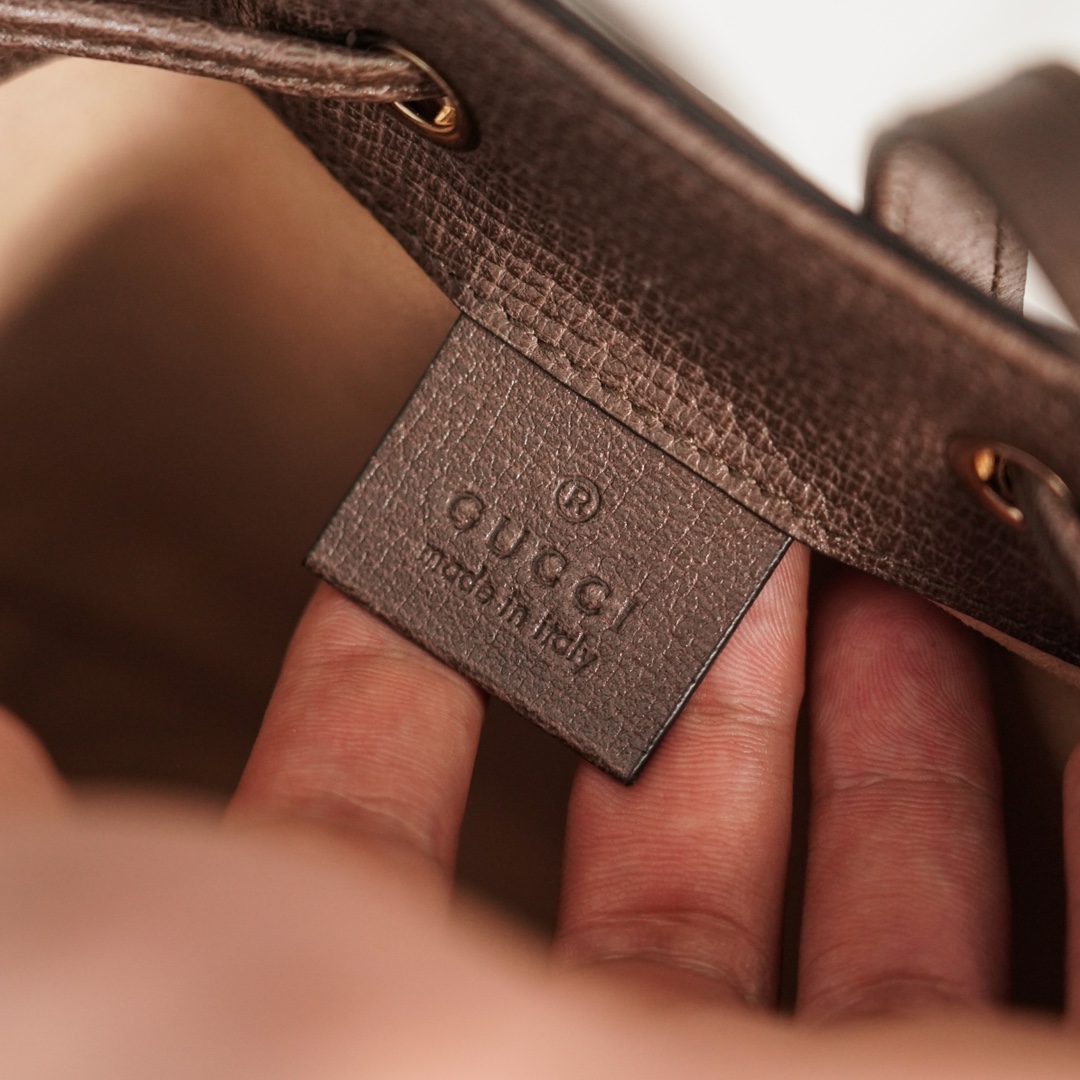 Balo Mini Gucci Ophidia 550602 Logo Nâu
