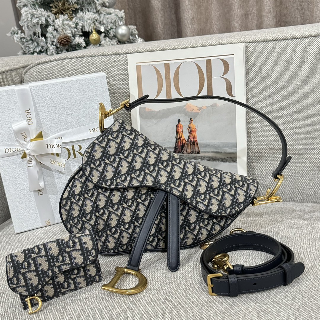 Túi Dior Sadle Nữ Vải Logo 