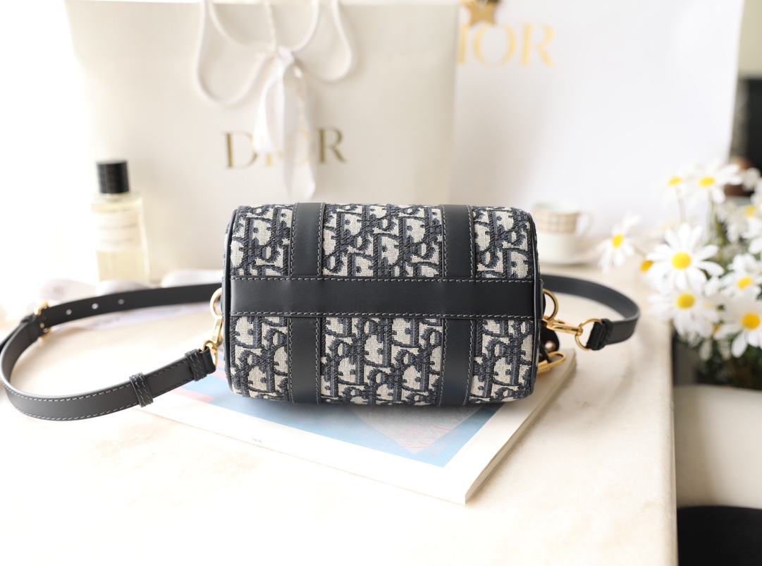 Túi Xách Dior Nữ CD Oblique