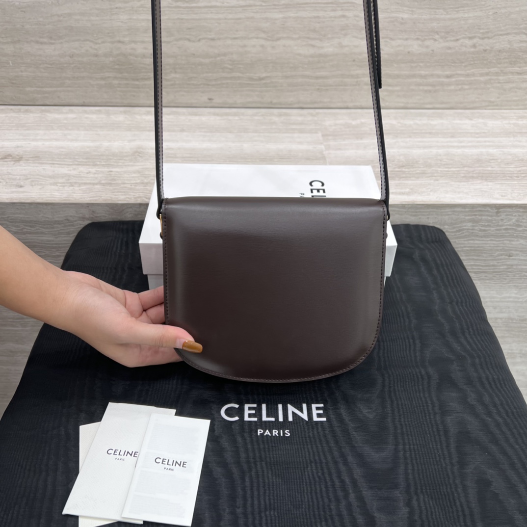 Túi Xách Celine Teen Besace Triomphe 110413 Màu Nâu 