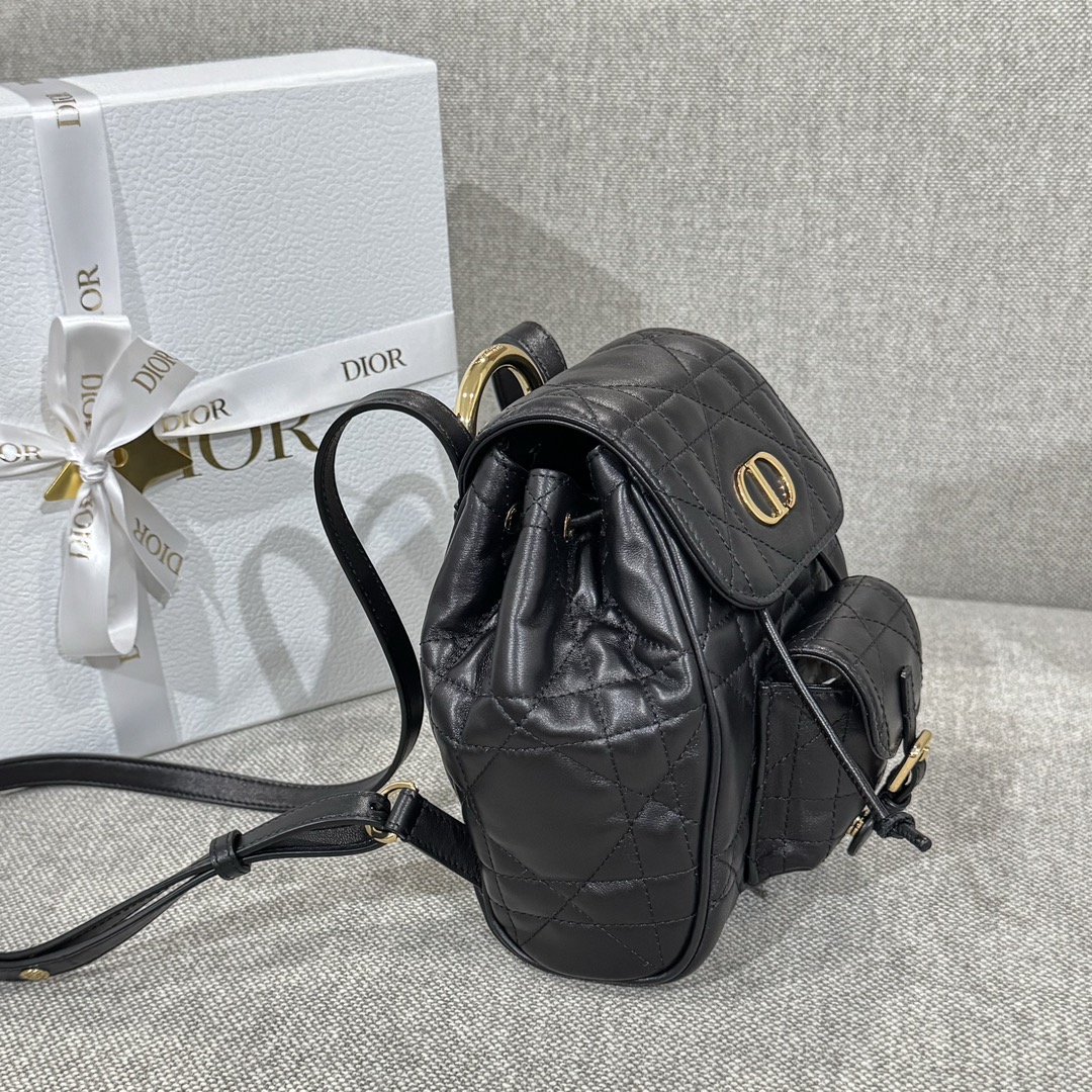 Balo Da Dior Caro 19.5