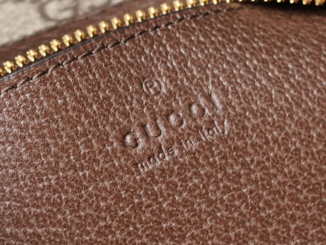 Túi Xách Nữ Gucci Ophidia 735145 Logo Nâu