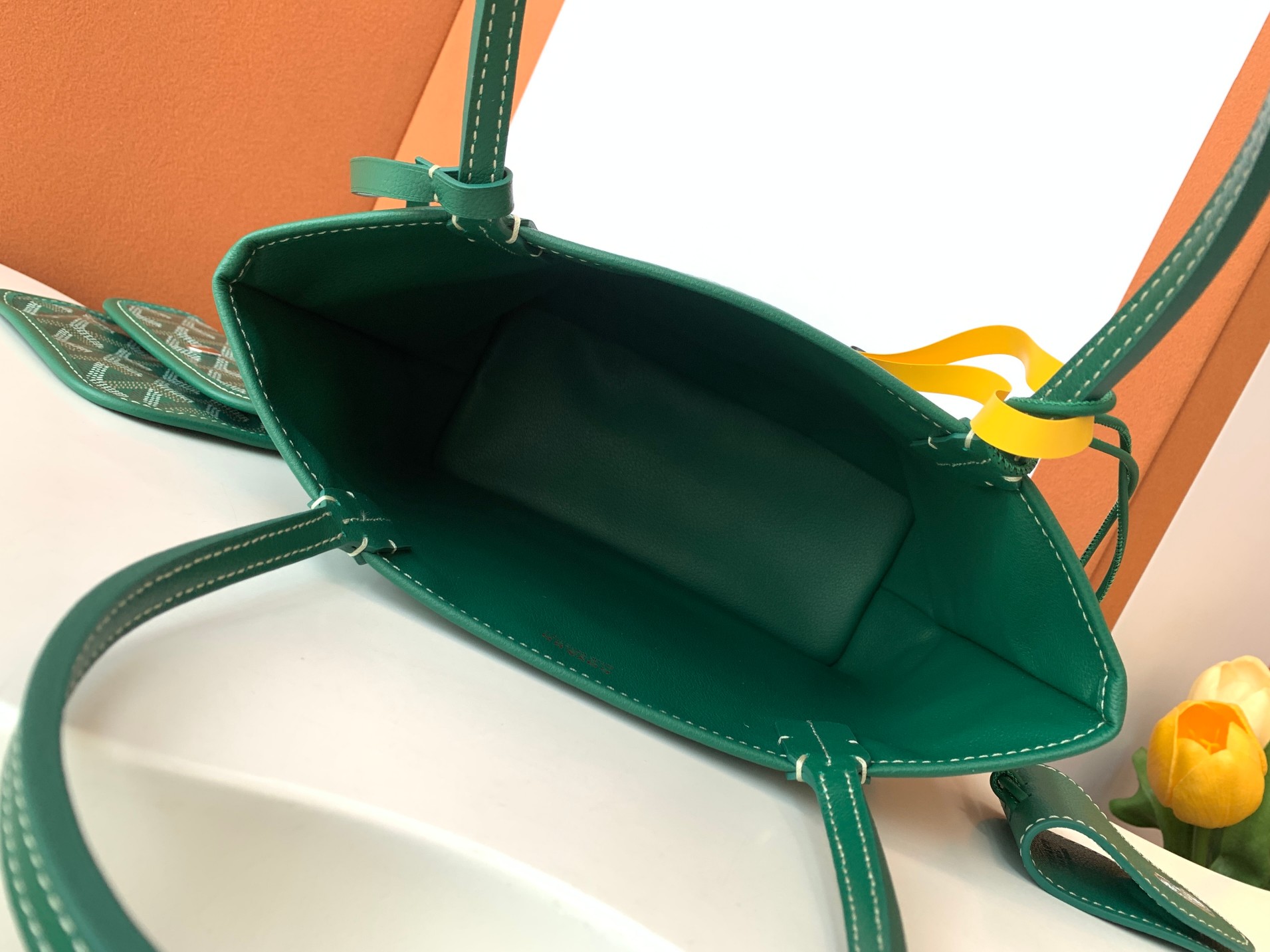 Goyard MINIAnjor 8003 (green)