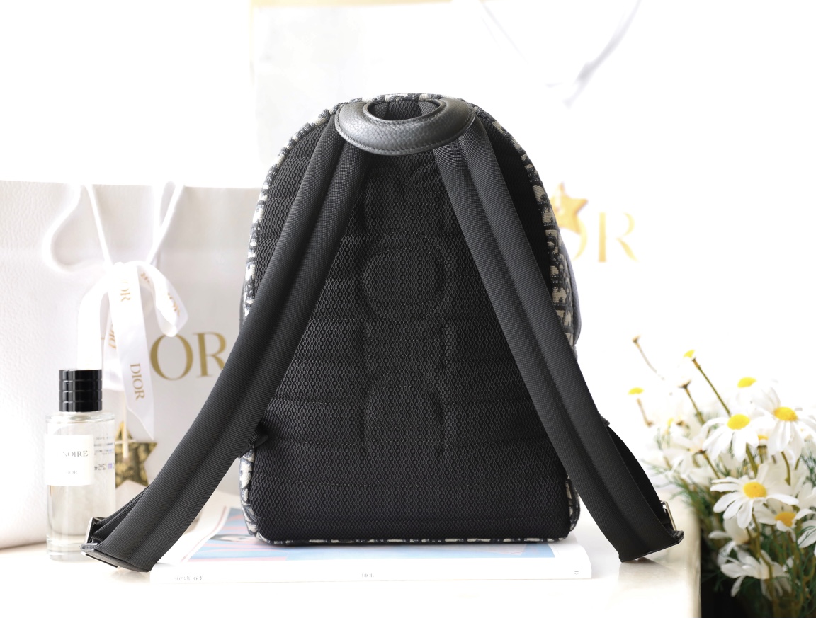 Balo Dior Oblique