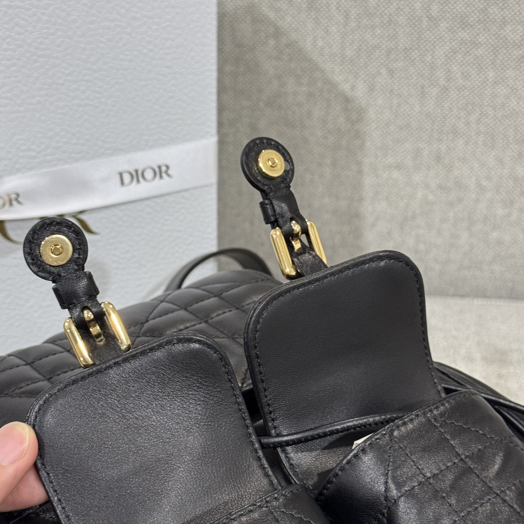 Balo Da Dior Caro 23