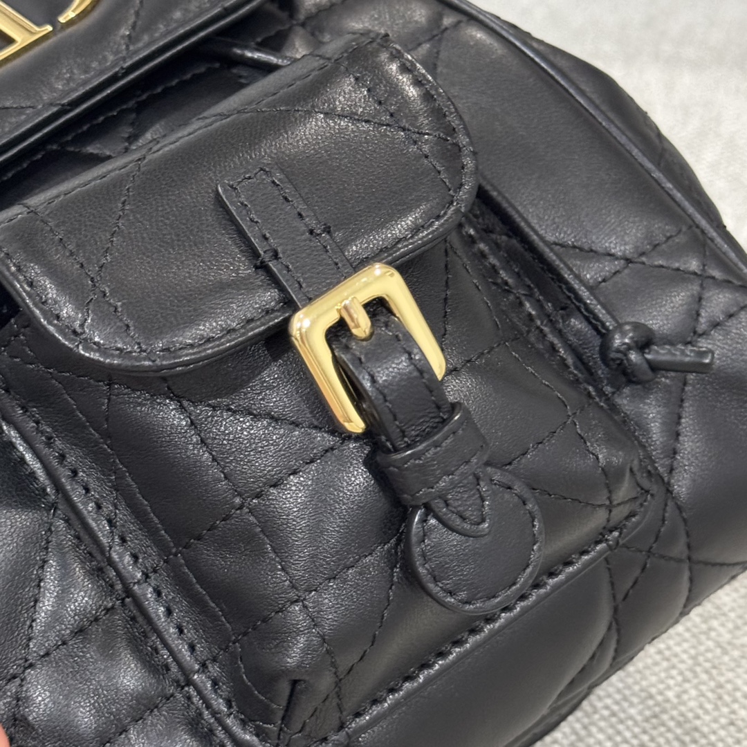 Balo Da Dior Caro 19.5