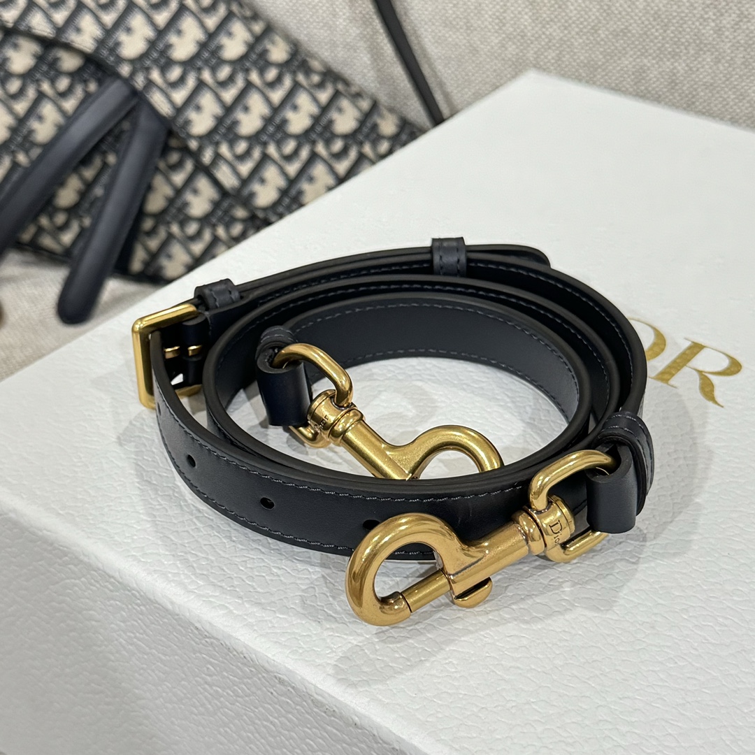 Túi Dior Sadle Nữ Vải Logo 