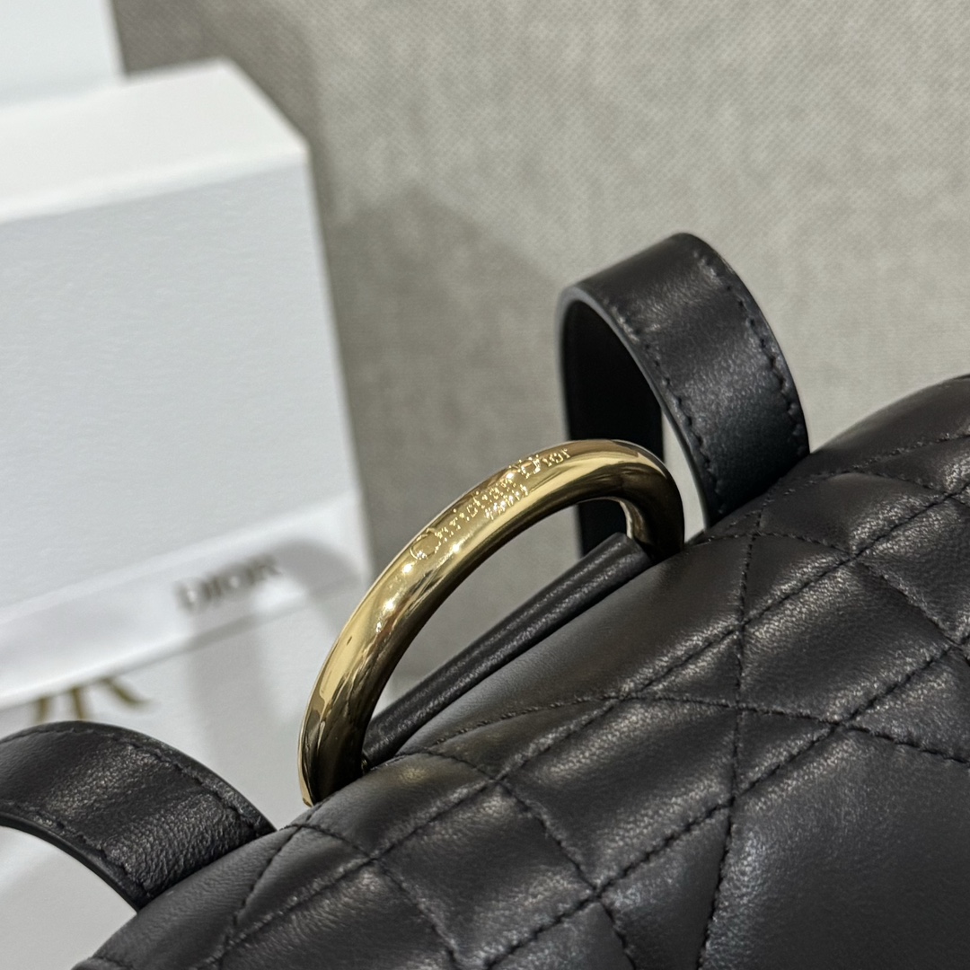 Balo Da Dior Caro 23