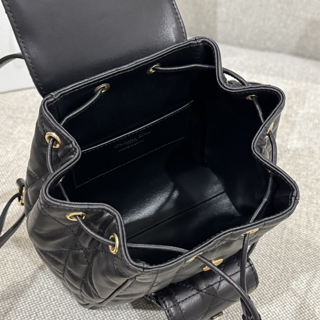 Balo Da Dior Caro 19.5
