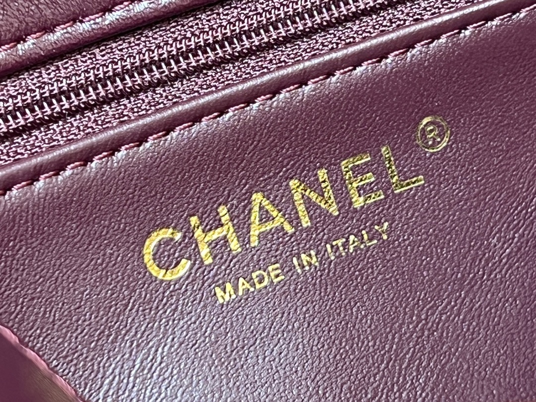 Túi Xách Chanel 24B Mini Flap with Top Handle Màu Đỏ Đô AS5032 