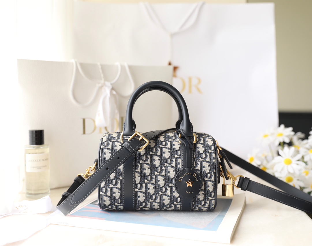 Túi Xách Dior Nữ CD Oblique