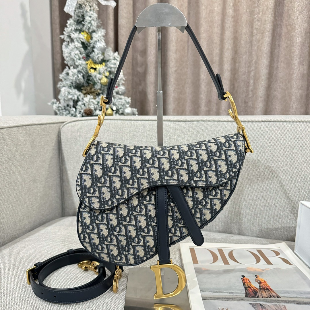 Túi Dior Sadle Nữ Vải Logo 