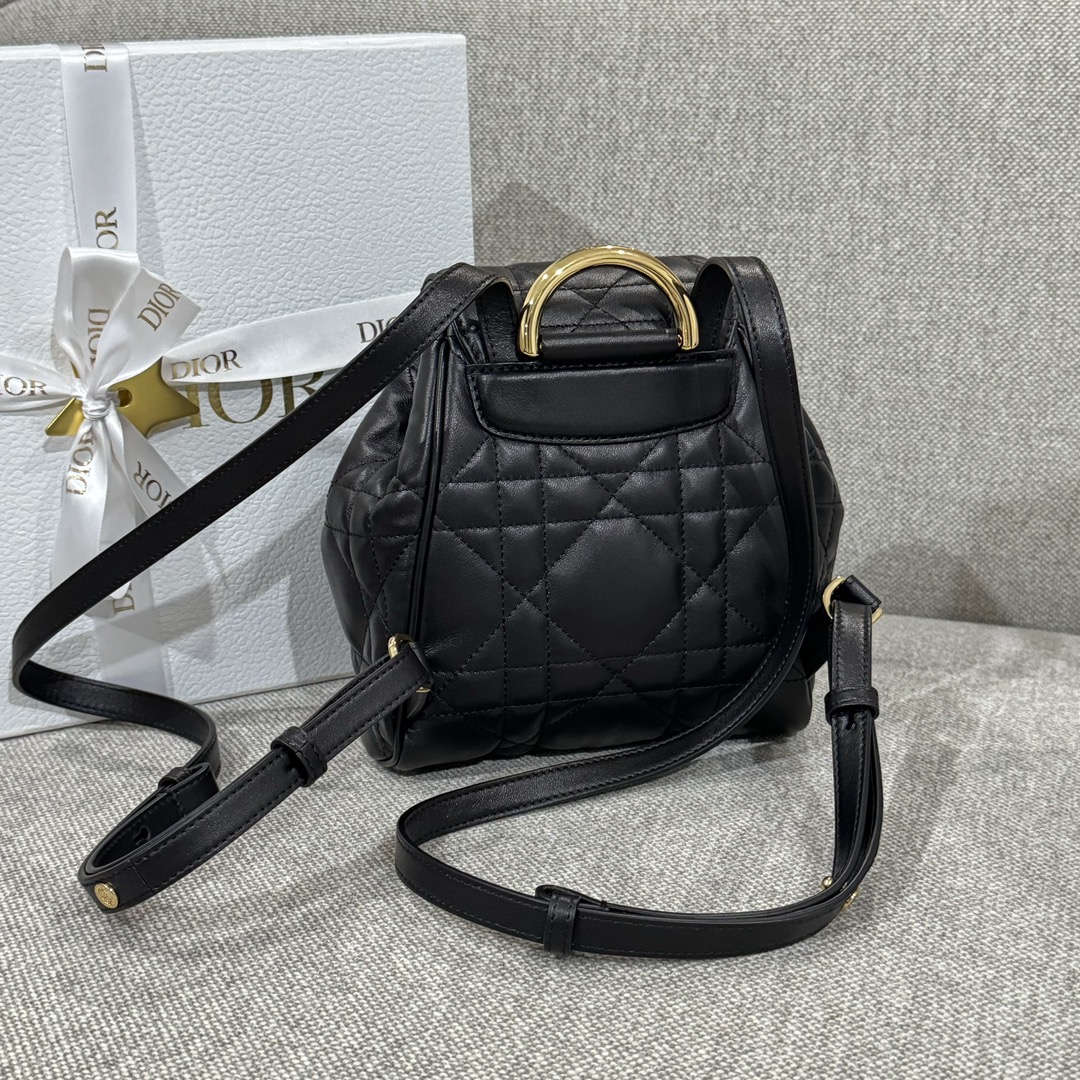 Balo Da Dior Caro 19.5