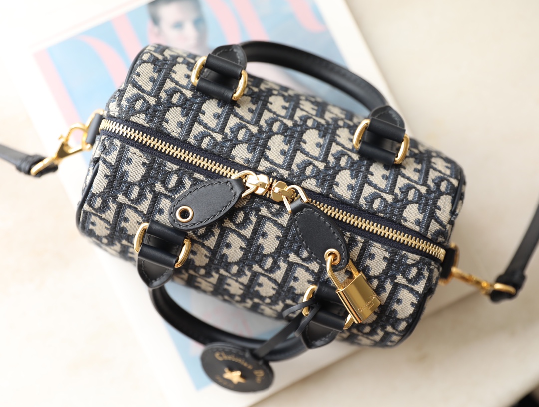 Túi Xách Dior Nữ CD Oblique
