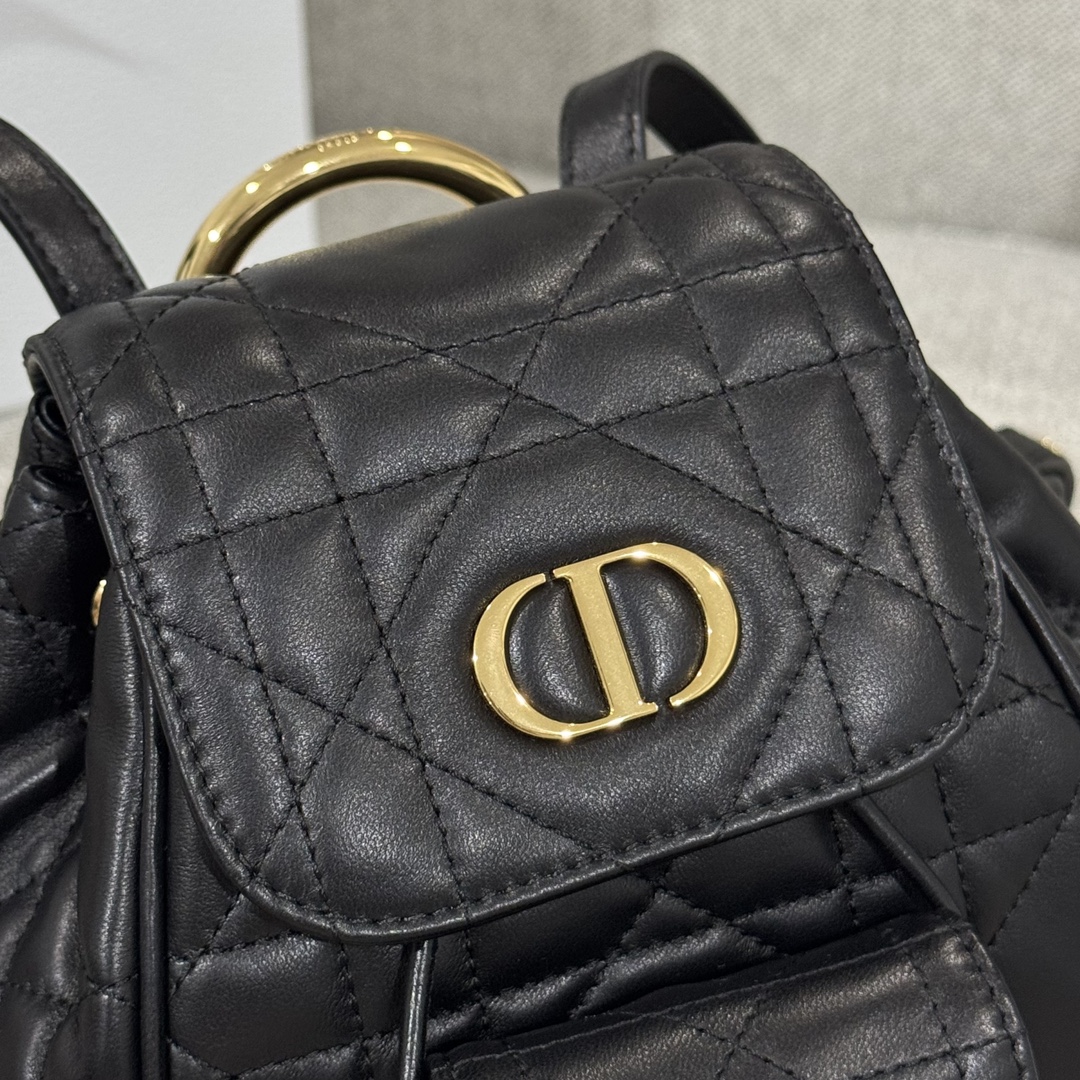 Balo Da Dior Caro 19.5
