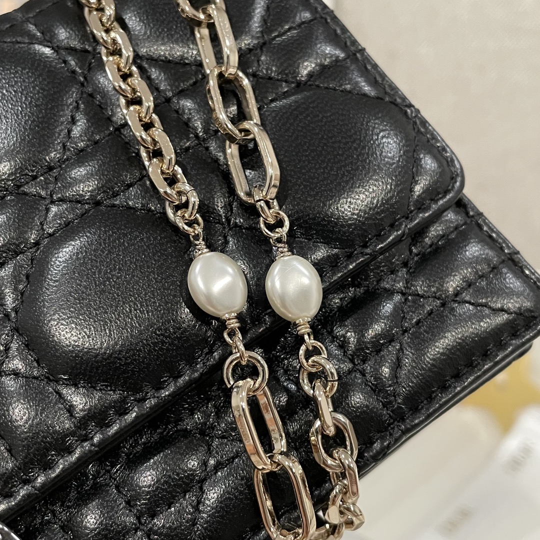 Túi Xách Nữ Dior WOC Màu Đen 