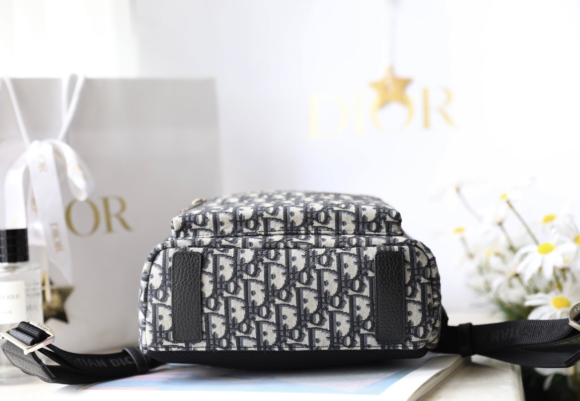 Balo Dior Oblique