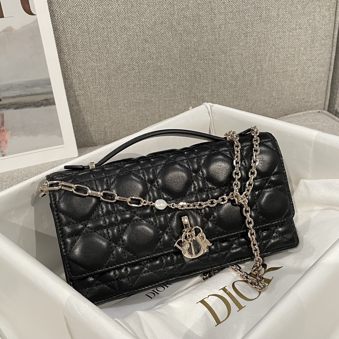 Túi Xách Nữ Dior WOC Màu Đen 