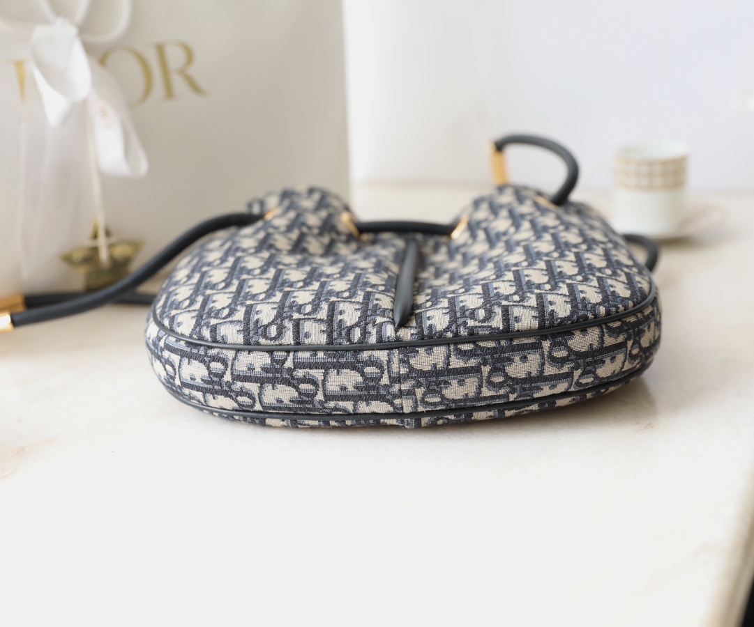 Túi Xách Nữ Dior Nolita